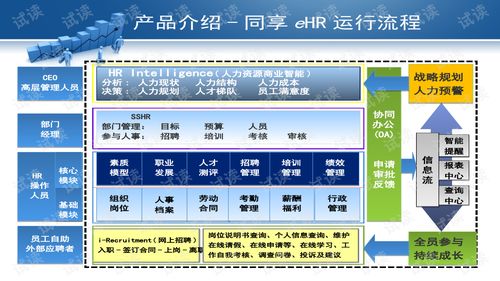 數字化時代的人力資源管理新范式 軟件與服務雙輪驅動