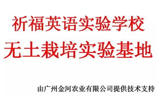 校企攜手，共繪軟件技術(shù)教育新篇章